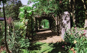 Jardin expérimental de Thouars : quand l'image d'Epinal devient réalité !
